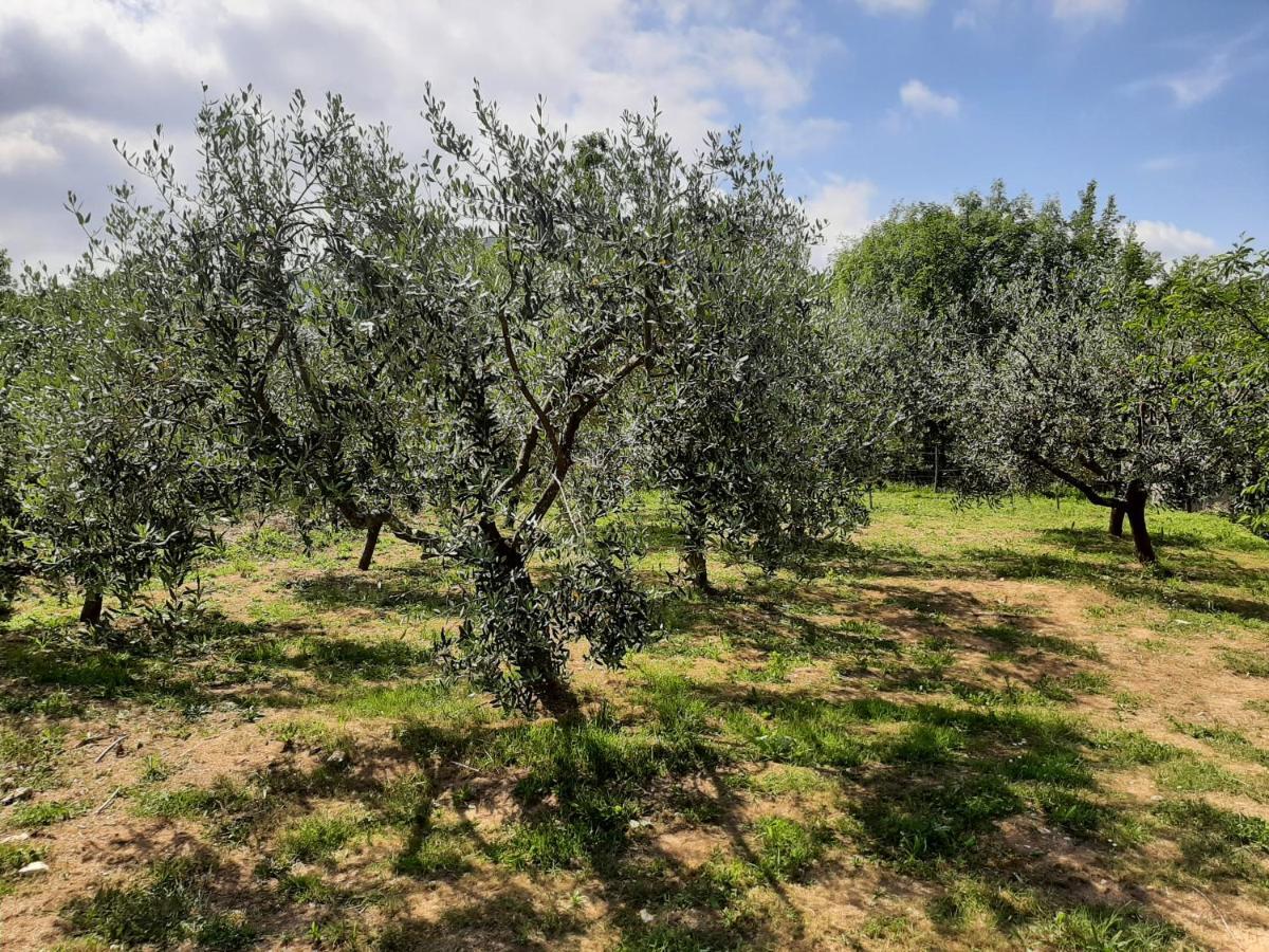 La Casetta Di Bianca