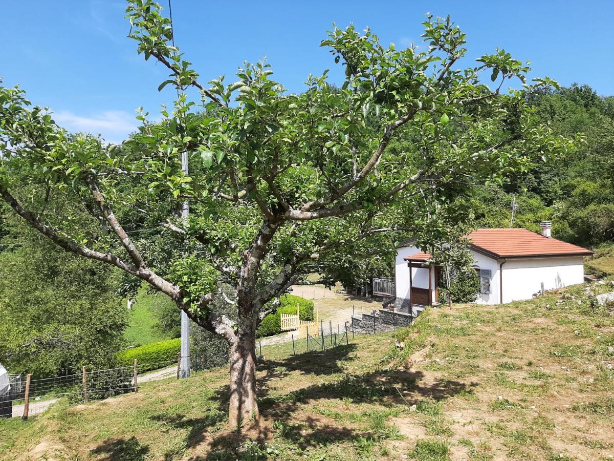 Ferienhaus La Casetta Di Bianca Riccò del Golfo di Spezia