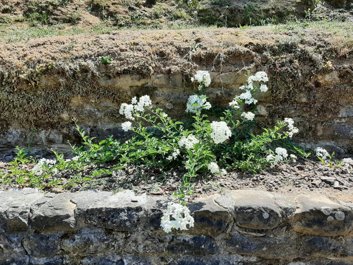 La Casetta Di Bianca Holiday home