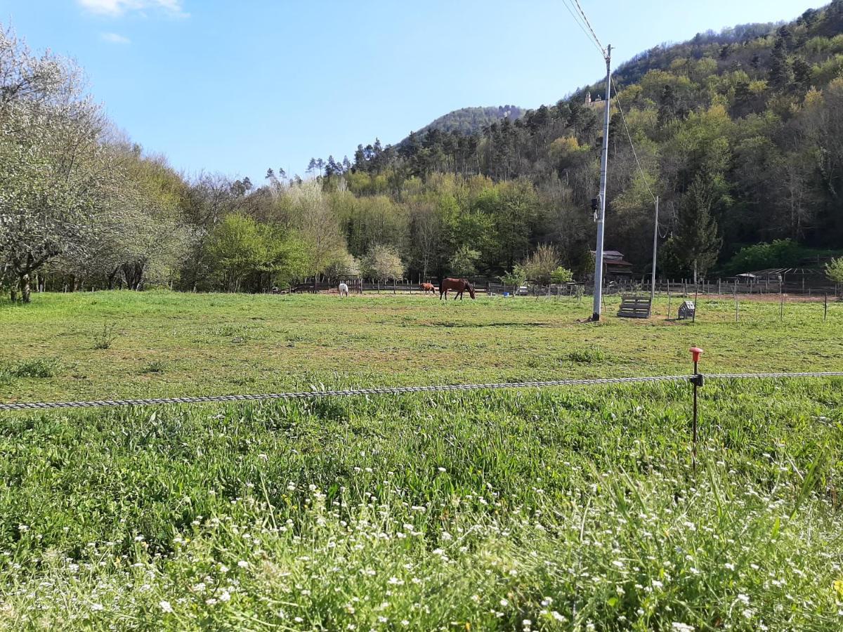La Casetta Di Bianca * Ricco del Golfo di Spezia